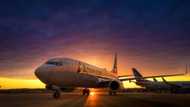 Kindhearted pilot praised for offering pizza to passengers after diverting flight over bad weather