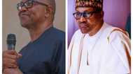 2023 presidency: Peter Obi cries out to Buhari's govt, makes serious complaints