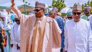 Buhari ya yi bikin Sallah a Daura tare da shugaban kasar Guinea (Hotuna)
