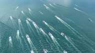 UN 'closer than ever' to high seas biodiversity treaty