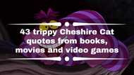 43 trippy Cheshire cat quotes from books, movies and video games