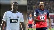 Ligue 1 side Lille line up another Nigerian international as replacement for Osimhen