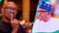 Buhari's death: Obi finally explains why he didn't attend the burial of ex-president