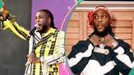 Burna Boy apologises amid low ticket sales after sending fan away from concert, netizens react