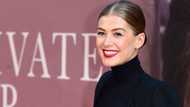 All about the life of Rosamund Pike: Career, children, boyfriend and net worth