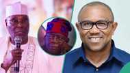 Atiku, Peter Obi vs Tinubu: APC chieftain reveals who will suffer major defeat at Supreme Court