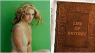 Britney Spears tell-all book publication about her personal and family life delayed over paper shortage