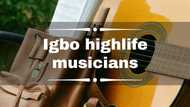 Top 10 greatest Igbo highlife musicians of all time: where are they now?