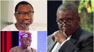 Update: Dangote not a member of APC campaign council - Presidency
