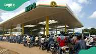 NMDPRA reduces fuel diversion by 35% as filling stations start selling below NNPC price