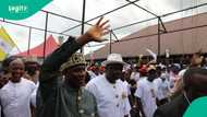Amaechi pulls crowd in Rivers, vows to strengthen ADC in south-south state