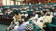 House of Reps passes bill abolishing HND/BSc dichotomy