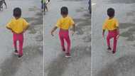 "Which generation is he from?" Stylish little boy walks like a rich boss on the road, video captures attention