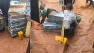 "Flood don carry your market because of woman": Angry traders slam foam seller in viral video