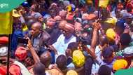 Kwankwasiyya na duba yiwuwar haɗaka da NDC, PRP bayan hukuncin kotun koli