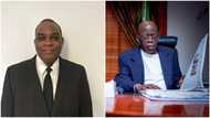 I’m fully BATified: British-born Nigerian reveals why Tinubu will win 2023 presidency