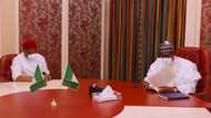 Uzodinma, Buhari hold closed-door meeting in Abuja, photos show moment governor walked into presidential villa