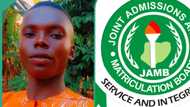 JAMB 2024: Boy confused after checking his UTME result with code, shares what he received