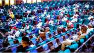 Subsidy removal: House of Reps endorse N617 fuel pump price, gives reason