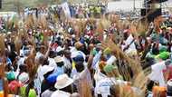 Defections: Cross River state APC orders three million bunches of brooms