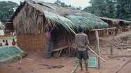 Northern regions has more landlords in the country as over 26 million Nigerians live on rented apartments