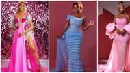 Barbie premiere: BBNaija Diane, 6 other stars turn up for event in dazzling ensembles