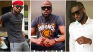 Please make us smile again, Fans plead with Peter and Paul Okoye to reunite as they clock new age