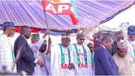 “I Have Not Disappointed Nigerians,” Buhari Says as He Campaigns for Tinubu in Bauchi