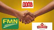 Honeywell, Flour Mills investors make N7.60bn in 16 hours as acquisition deal put smiles on shareholders face