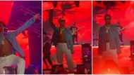 Wizkid’s Vibes on the Beach: Singer enjoys MJ moment, crowd goes wild as he makes grand stage entrance