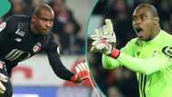 AFCON2023: Throwback video of Nigerian goalkeeper Enyeama saving 4 penalties in a match emerges