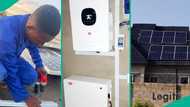 National grid collapse: Solar electricity is cheap if you are serious enough