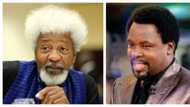Soyinka finally reveals alleged cause of TB Joshua's church collapse in 2014