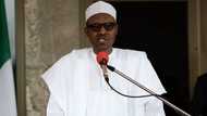 Buhari to deliver another broadcast ahead of presidential election