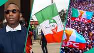 "Members of terrorist organisation": Sowore blasts APC, PDP after Canadian court declaration