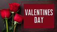 10 tips to turn up your Valentine’s Day charm