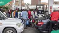 Filling stations sell petrol for N1,000/litre, marketers give condition to return to normal price