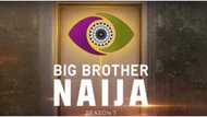 BBNaija 2022 live updates: Asake thrills the audience, Big Brother welcomes 1st 12 housemates, and more