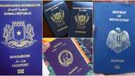 List of 7 most worthless passports in Africa released, Sudan is number 3