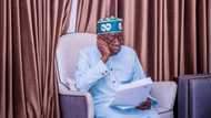 Chicago State University gives fresh update on Tinubu's academic degree after prominent Nigerian's request