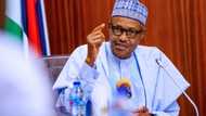 BringBackOurBoys: Kungiyar arewa ta fara tattaki don samun Buhari a Daura