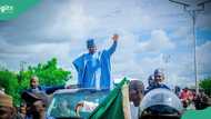 Video as Tambuwal receives massive reception in Sokoto after EFCC questioning