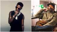 Wizkid, Damian Marley link up, chat about love for each other's music, family and plans for collaborations