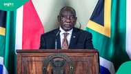 Notable 12 African countries not eligible for visa exemption in South Africa