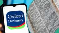 Oxford adds new Nigerian words to English dictionary: "Nyash, Amala, Abeg"