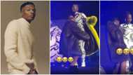 He crossed the line: Fans demand Wizkid apologises for trying to carry Tems without permission on stage