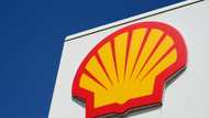 Dutch court to rule in Shell climate appeal