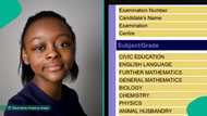 WAEC result 2025: Candidate scores A1 in 7 subjects, B2 in English language