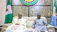 Presidential consultations: APC national leader Bola Tinubu visits northern state
