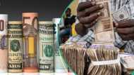 Dollar bows as naira stages remarkable recovery in both official and black markets